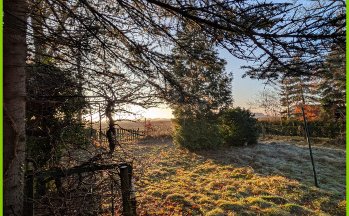 blick über den Garten